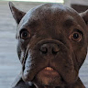 Meet your Posher, Joseph